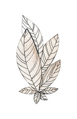 Composition of brown leaves, graphic outline, bouquet of leaves on an isolated white background