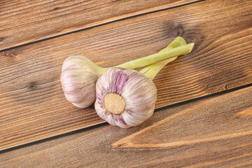 Two Young garlic over background