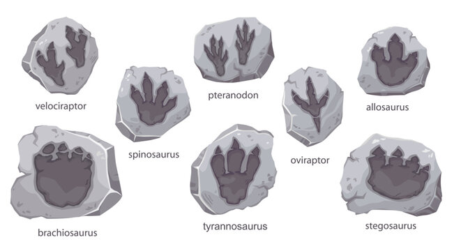 Dinosaur footprints fossil, archeology stones with dino foot silhouette, cartoon vector. Jurassic dinosaurs paw print trace of velociraptor, tyrannosaurus T-rex and stegosaurus or brachiosaurus