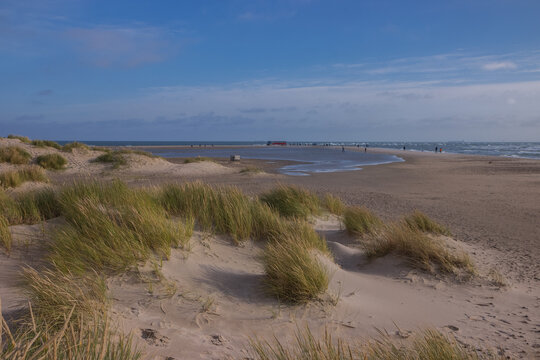D&uuml;nen und Sandstrand an der Landzunge Grenen, Skagen, Nordj&uuml;tland, D&auml;nemark	