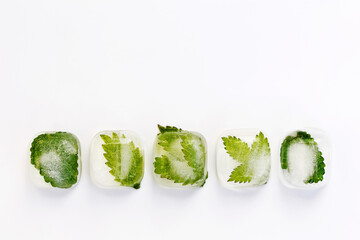 Green leaves of herbs frozen in ice cubes. Bio, organic concept. Phytotherapy, alternative...