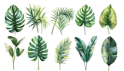 set of tropical green leaves - obrazy, fototapety, plakaty