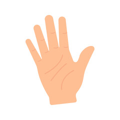 Hand. Palm on a white background. Vector graphics