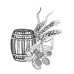 Hand drawn vector sketch of wooden barrel for wine, beer, whiskey, hop plant and ears of wheat, black and white illustration of wood oak keg and wheat plant, inked illustration isolated on white