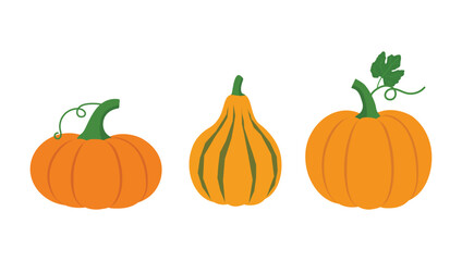 Pumpkin flat icon set. Vector illustration Pumpkin on white background. Fresh Vegetable, Vegetarian, vegan Healthy organic food. Sign kit of halloween.