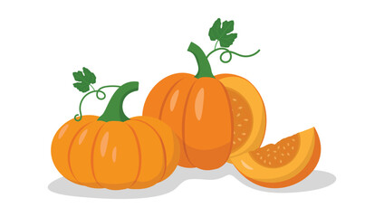 Pumpkins and sliced pumpkins vector illustration isolated on white background