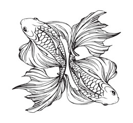 Two beautiful magical fish with long fins and tails logo, mystical tattoo, Pisces zodiac sign, hand engraving for fish store. Line Vector illustration isolated on white background.