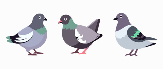 Fototapeta premium vector funny cartoon pigeon illustration. Geometric flat style. Pigeons sticker. Pigeons collection. cartoon bird character 