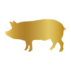 golden pig vector