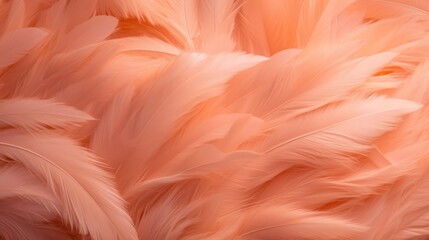 Fototapeta premium Feathers closeup of trend color of the year 2024 peach fuzz, background texture.