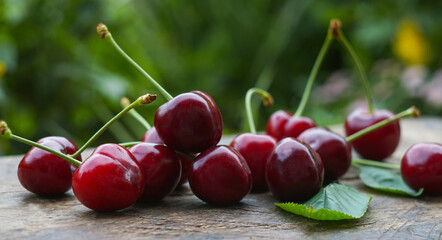 There are red cherries on a white background