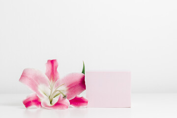 Empty pink cube podium with lily flower on white background. Minimal showcase for spa, perfume, cosmetic and product presentation