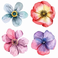 Set watercolor flowers isolated white background