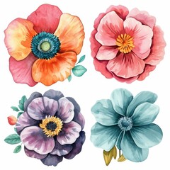 Set watercolor flowers isolated white background