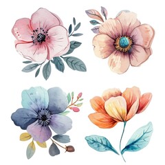 Set watercolor flowers isolated white background