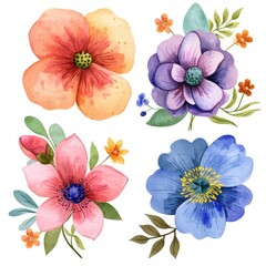 Set watercolor flowers isolated white background