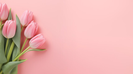 Tulips on a pink background. Flat lay, top view, space for text .