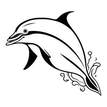 illustration of a dolphin