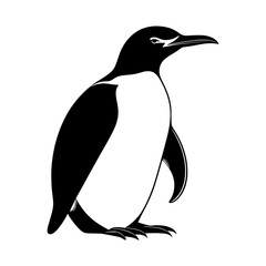 penguin silhouette isolated on white Vector Illustration