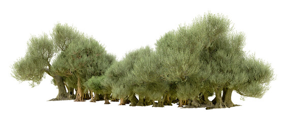 Green forest isolated on background. 3d rendering - illustration