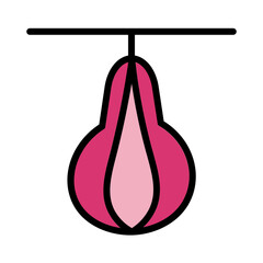 Boxing Fitness Gym Filled Outline Icon