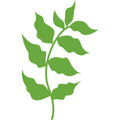 Leaf Shape Minimalist