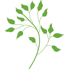 Leaf Shape Minimalist