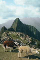 Machu Picchu, South Peru