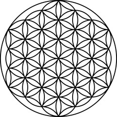 Flower of life vector isolated on white background. Sacred geometry symbol concept.