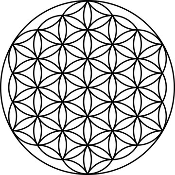 Flower Of Life Vector Isolated On White Background. Sacred Geometry Symbol Concept.