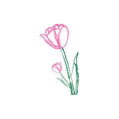 Graphic tulips line drawing with colorful brushes for art, bouquet, design, floral, illustration, vector, hand drawn, tulip, flower, line, drawing, brush, colorful, graphic, nature, watercolor,blossom