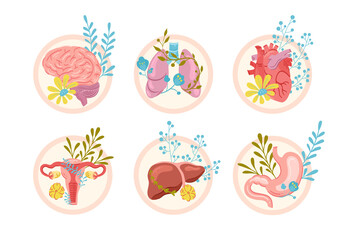 Hand drawn flat organ composition background with human organs and leaves