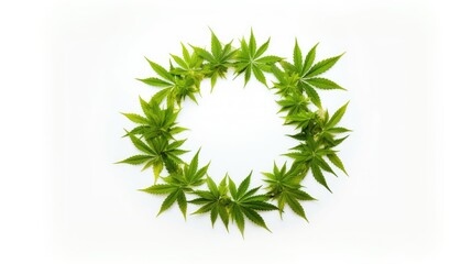 Marijuana plant growing isolated over white background.  Generative AI
