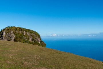 Fanal Forest Panoramic Views at Madeira