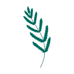 modern deck of tarot cards. prediction or fortune telling of the future and fate, mystical characters. printing on clothes or fabric