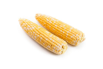 Two ears of sweet corn isolated on a white background..