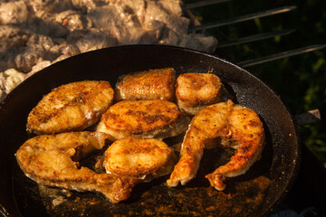 Pan frying or home cooking fish on the fire.