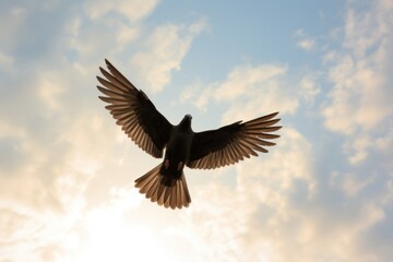  a bird that is flying in the air with it's wings wide open and it's wings spread wide, with the sun shining through the clouds in the background.