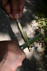 construire avec ses mains dans la nature