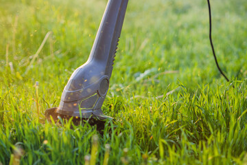 Electric lawn trimmer in operation. An image of the working part of a trimmer cutting green grass. Background image illustrating the work of a gardener