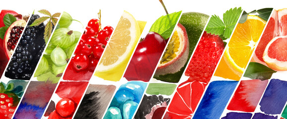 Obst udn Beeren, Früchte Wasserfarben Spiegelung - Panorama
