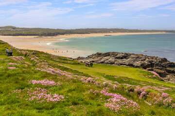 Fototapeta na wymiar Godrevy Head, Cornwall, UK - Godrevy Head and Godrevy Beach on a sunny spring day, people relaxing amongst the abundance of sea thrift in bloom.