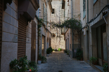 beautiful street of pollenca in mallorca