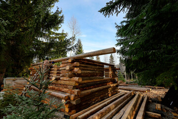 Fototapeta na wymiar Stages of wood assembly of wooden log house at a construction base into the forest.