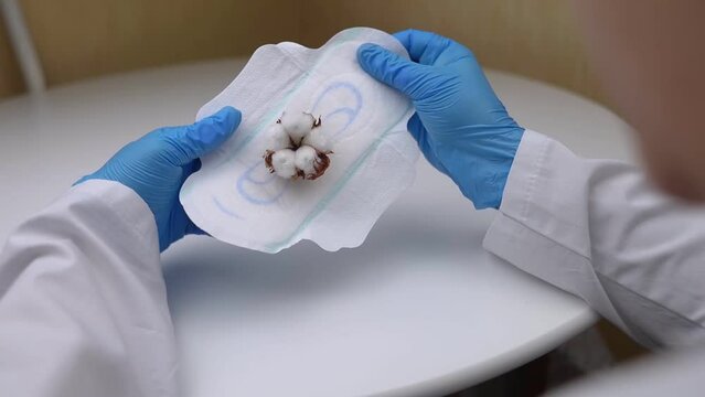 Sanitary napkin and cotton plant flower. A concept that shows the presence of plastic additives in sanitary pac, which cause redness, rash, and diaper rash in the female genital organs. 