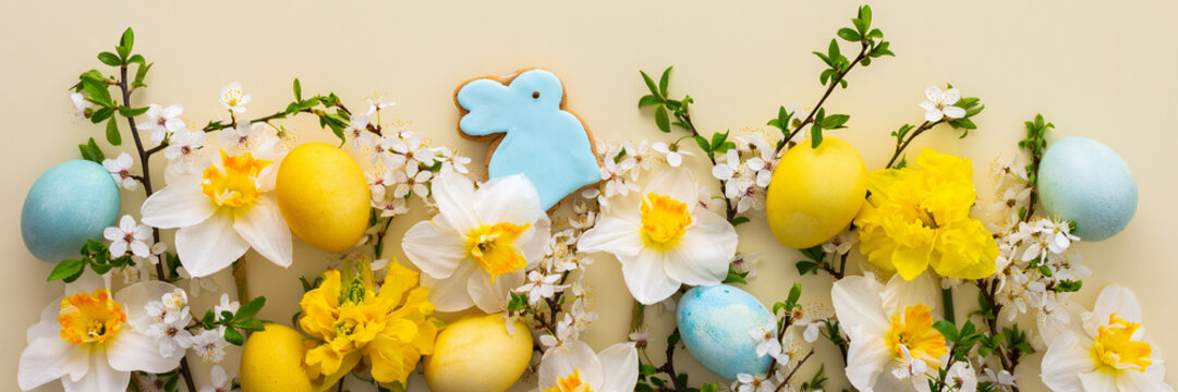Festive banner with spring flowers and naturally colored eggs and Easter bunnies, white daffodils and cherry blossom branches on a yellow pastel background