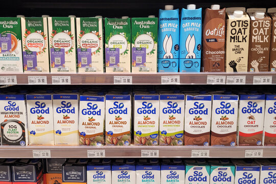 PENANG, MALAYSIA - 1 DEC 2023: Various brand imported organic plant-based milk on store shelf. It is a diet consisting entirely of foods derived from plants, grains, nuts, seeds, legumes and fruits.