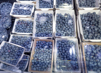 buying fruits(blueberries, raspberries)  at the market