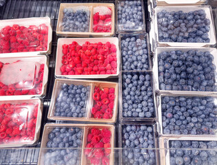buying fruits(blueberries, raspberries)  at the market