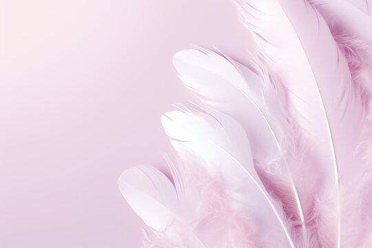  a close up of a pink and white background with lots of feathers on the bottom of the image and the bottom of the image of the feathers on the bottom of the image.